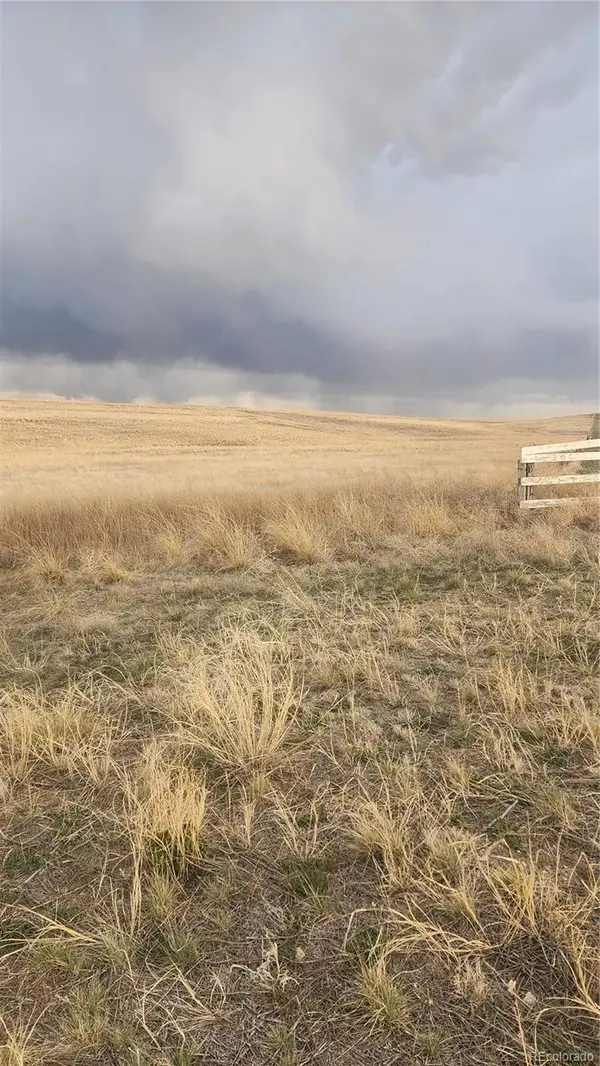 41382 Bijou View ST, Agate, CO 80101