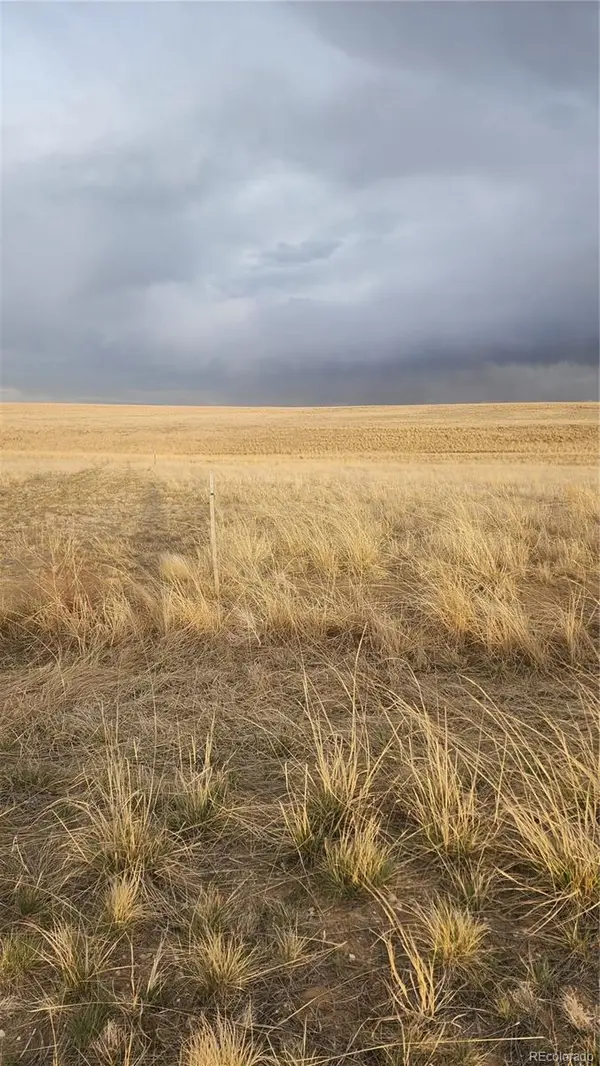 41382 Bijou View ST, Agate, CO 80101
