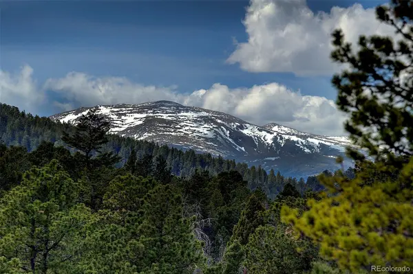27987 Richmond Hill RD, Conifer, CO 80433