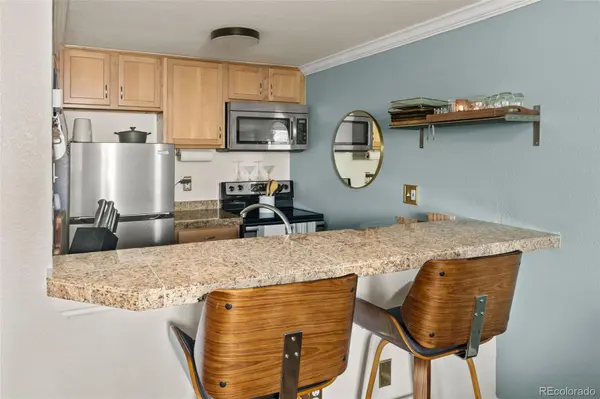 1125 N Washington ST #405, Denver, CO 80203