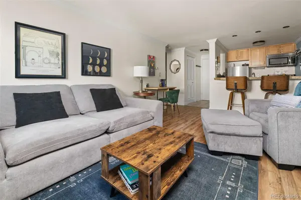 1125 N Washington ST #405, Denver, CO 80203