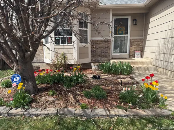 11376 Berry Farm RD, Fountain, CO 80817