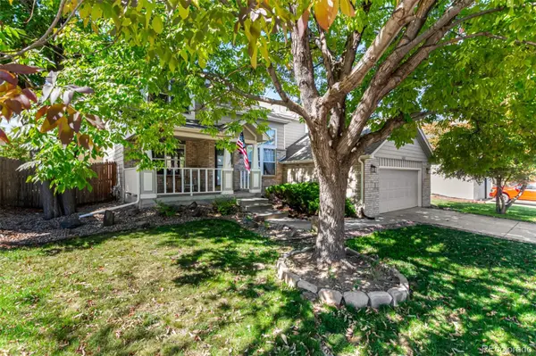 12113 York ST, Thornton, CO 80241