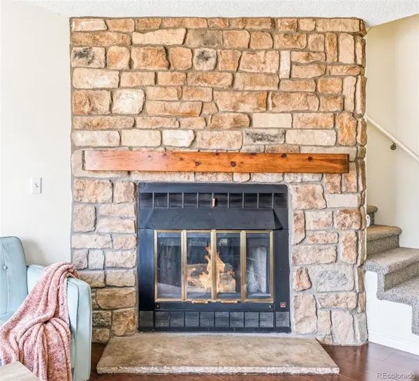 10886 Bayfield WAY, Parker, CO 80138