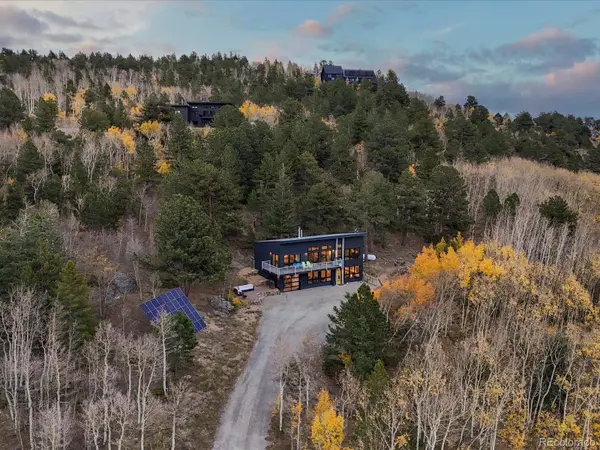 1044 Alps Hill RD, Central City, CO 80452