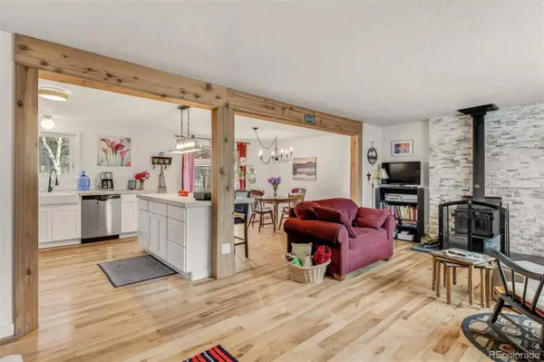 1217 Michael LN, Woodland Park, CO 80863