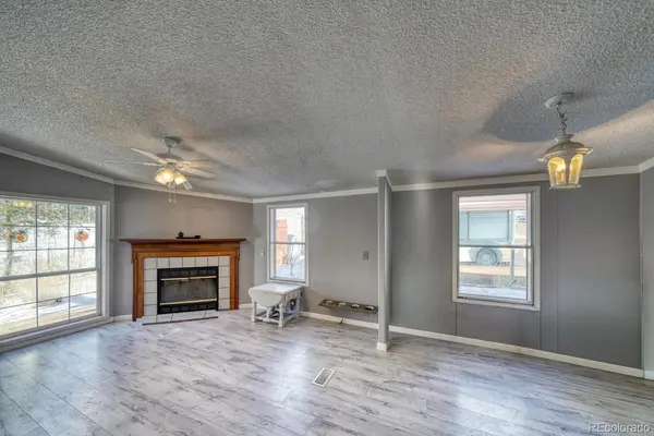 36 Valley CIR, Guffey, CO 80820