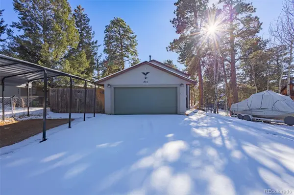 315 E Gunnison AVE, Woodland Park, CO 80863