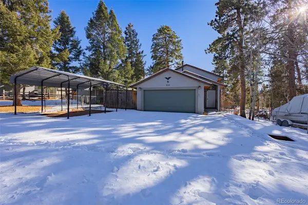 315 E Gunnison AVE, Woodland Park, CO 80863