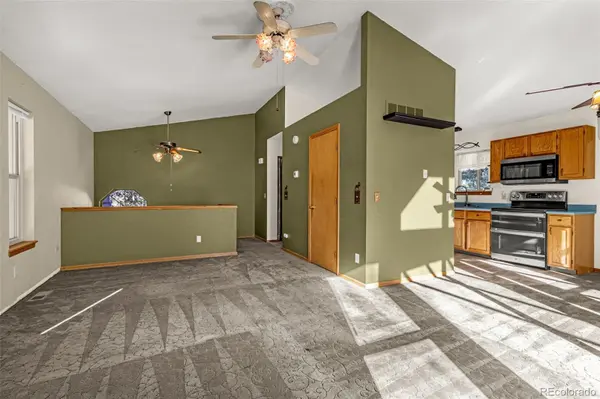 315 E Gunnison AVE, Woodland Park, CO 80863