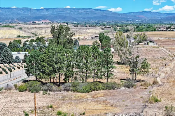 21045 Nowhere RD, Eckert, CO 81418