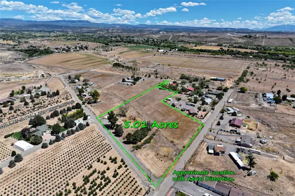 21045 Nowhere RD, Eckert, CO 81418