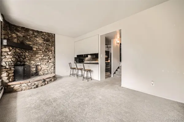 817 Valley View DR, Georgetown, CO 80444