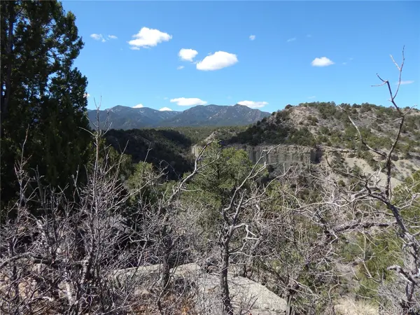 0 County Road 103, Florence, CO 81226