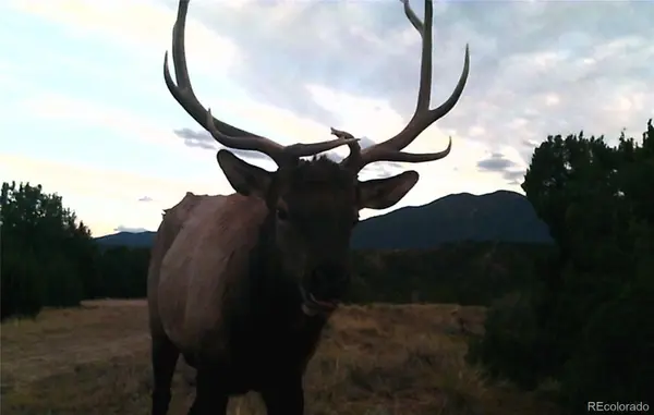 0 County Road 103, Florence, CO 81226