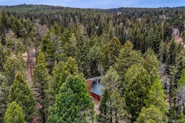 12096 Elk Trail RD, Conifer, CO 80433
