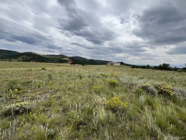000 CR 328, Westcliffe, CO 81252