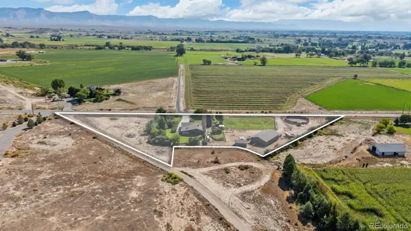1473 17 RD, Fruita, CO 81521
