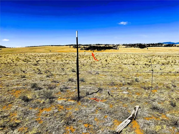 Lot 77 Black Bear RD, Hartsel, CO 80449
