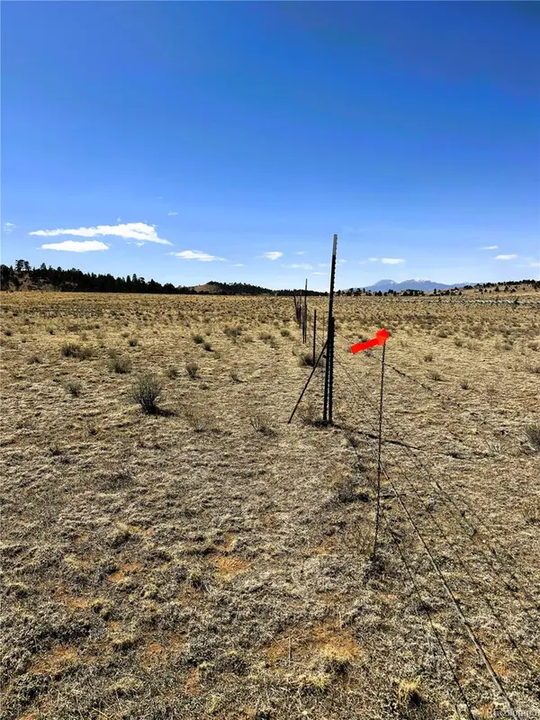 Lot 77 Black Bear RD, Hartsel, CO 80449