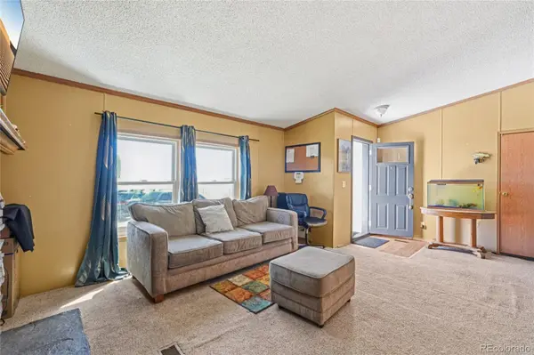 265 Trout RD, Fairplay, CO 80440