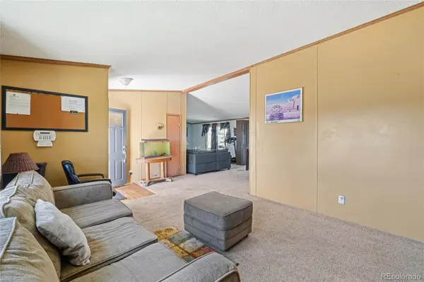 265 Trout RD, Fairplay, CO 80440