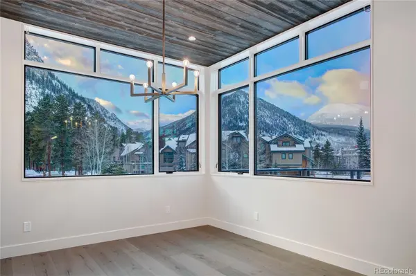 208 Frisco ALY, Frisco, CO 80443