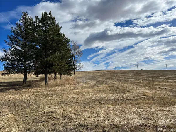10440 Lucas AVE, Franktown, CO 80116