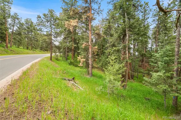 5825 High DR, Evergreen, CO 80439
