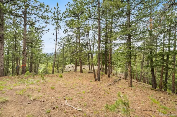 5825 High DR, Evergreen, CO 80439