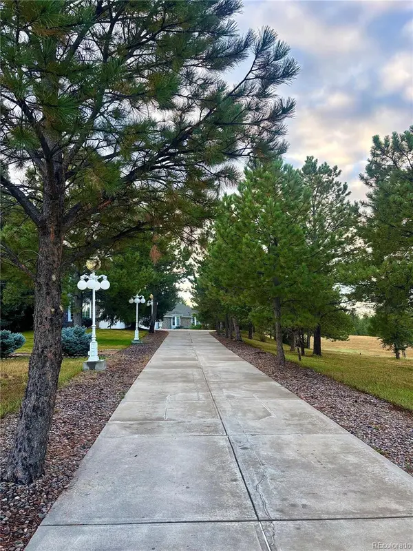 11421 Random Valley CIR, Parker, CO 80134