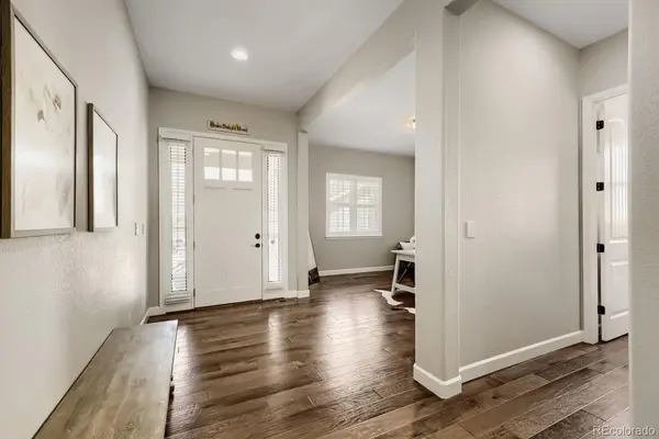 6698 Palmetto CT, Castle Rock, CO 80108