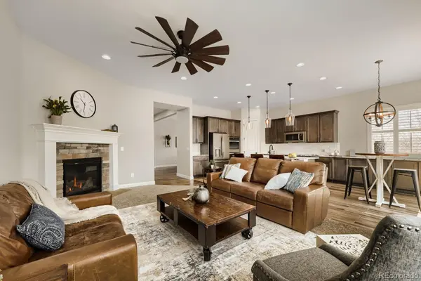 6698 Palmetto CT, Castle Rock, CO 80108