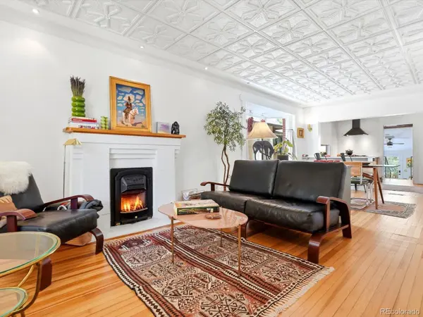 1007 S Vine ST, Denver, CO 80209