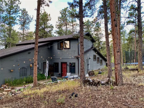 10131 Apache Spring DR, Conifer, CO 80433