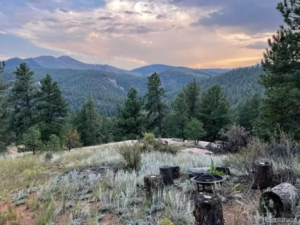 16626 Ouray RD, Pine, CO 80470