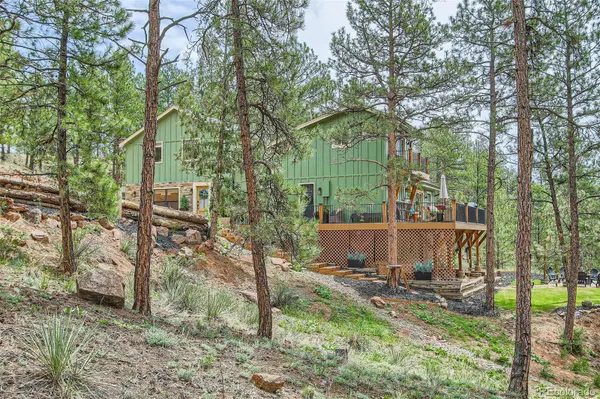 16626 Ouray RD, Pine, CO 80470