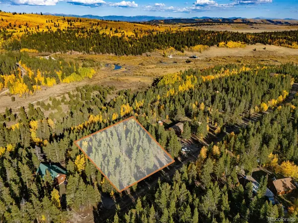 250 Ski Doo RD, Fairplay, CO 80440