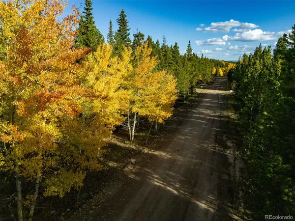 250 Ski Doo RD, Fairplay, CO 80440