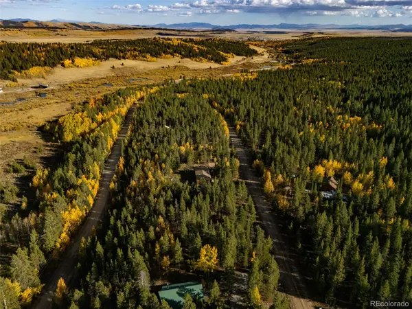 250 Ski Doo RD, Fairplay, CO 80440