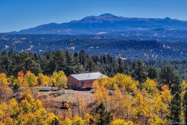 145 Crestone CIR, Florissant, CO 80816