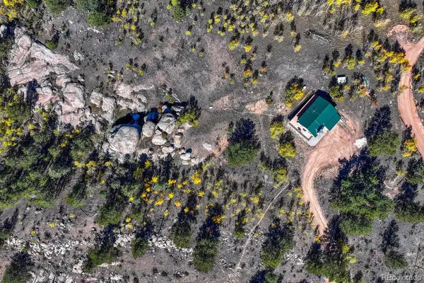 145 Crestone CIR, Florissant, CO 80816