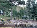 940 E Kelleys RD, Woodland Park, CO 80863