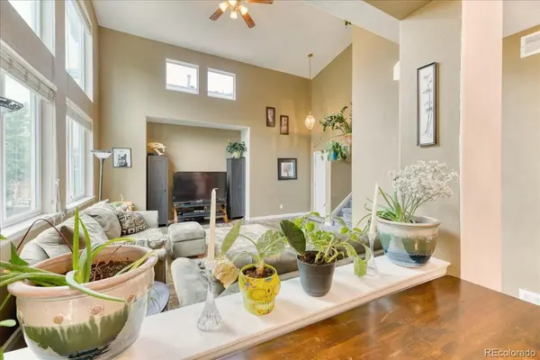 10191 Sagecrest ST, Highlands Ranch, CO 80126