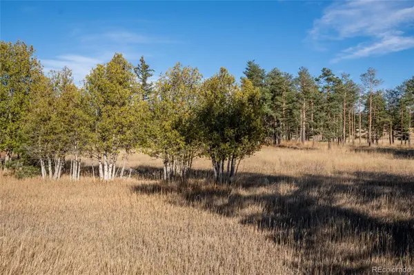 4630 Palmer Ridge RD, Parker, CO 80134