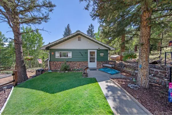 567 Forest DR, Bailey, CO 80421