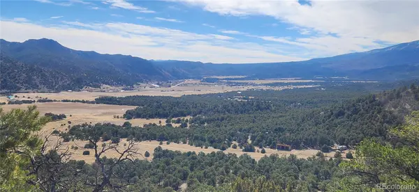 402 Trail Ridge RD, Coaldale, CO 81222