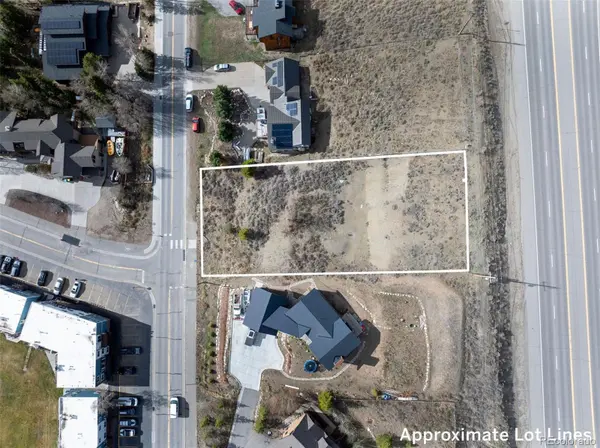 321 Tenderfoot ST, Dillon, CO 80435