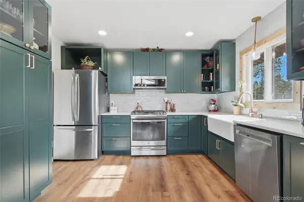24597 Stanley Park RD, Evergreen, CO 80439