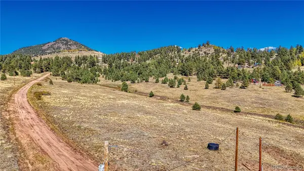 667 Penrose CIR, Cripple Creek, CO 80813